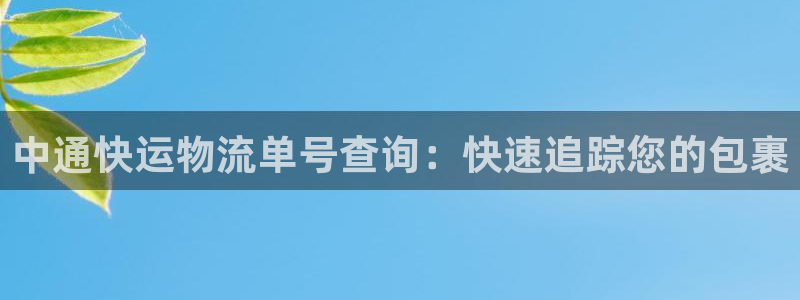 28圈官網(wǎng)開獎結(jié)果預(yù)測查詢:中通快運