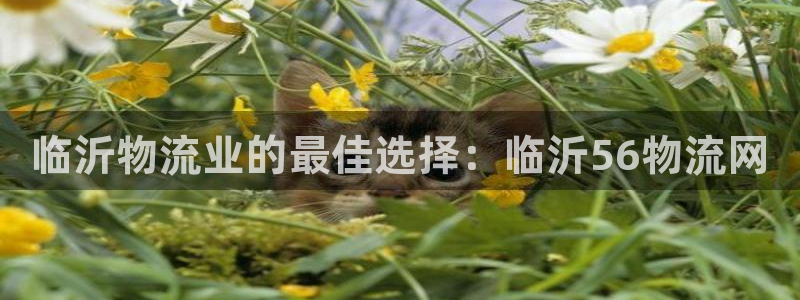 28圈客服一直不回消息怎么辦