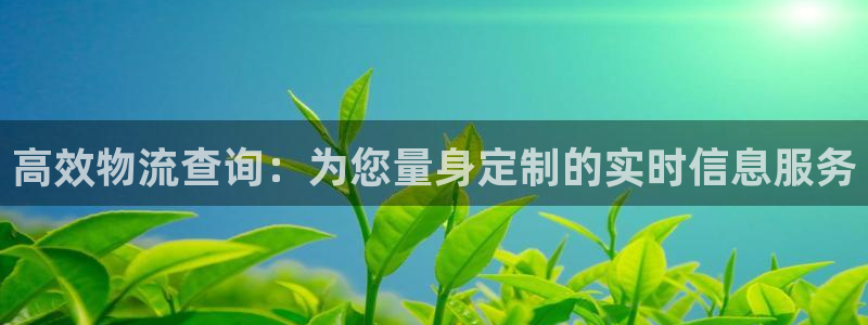 28圈是正規平臺嗎：高效物流查詢：為您量身定制的實時信息服務