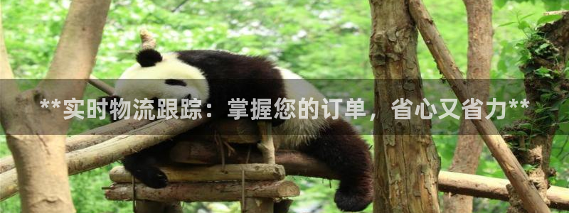 28圈登錄網：**實時物流跟蹤：掌握您的訂單，省心又省力**