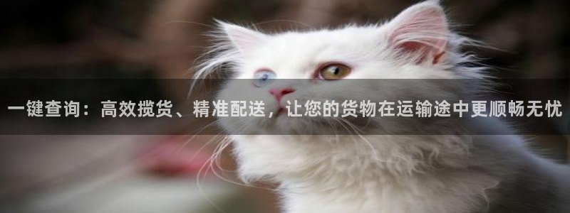 28圈怎么注冊賬號